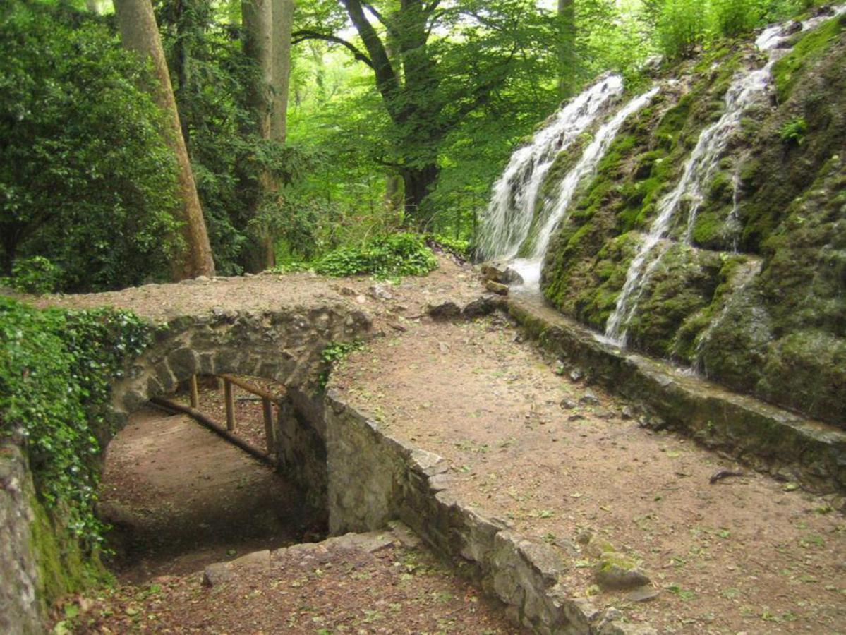 Authentique Mas Provencal Gemenos 빌라 외부 사진